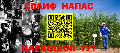 шишки Коммунар