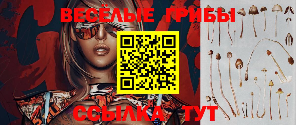 Галлюциногенные грибы Psilocybine cubensis Ирбит