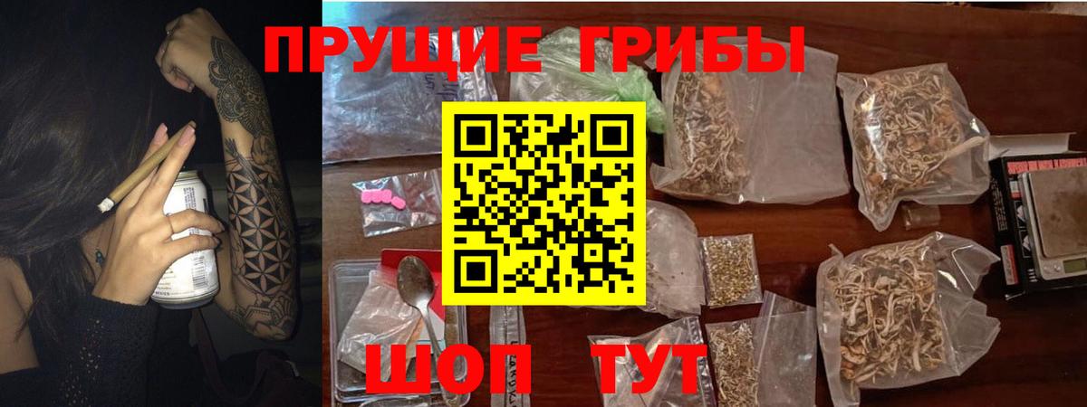 Галлюциногенные грибы прущие грибы  Вход с VPN  Ирбит 